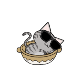 Sunglasses cat Ashver kitten Winter life sticker #14354718