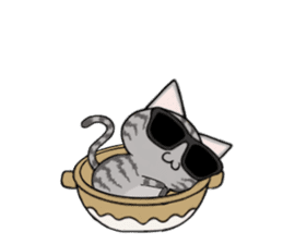 Sunglasses cat Ashver kitten Winter life sticker #14354718