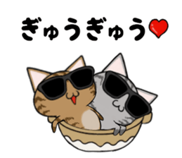 Sunglasses cat Ashver kitten Winter life sticker #14354720