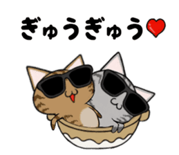 Sunglasses cat Ashver kitten Winter life sticker #14354720
