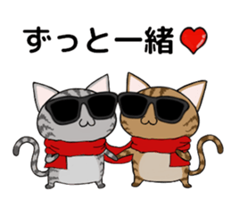 Sunglasses cat Ashver kitten Winter life sticker #14354722
