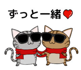 Sunglasses cat Ashver kitten Winter life sticker #14354722