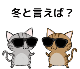 Sunglasses cat Ashver kitten Winter life sticker #14354723