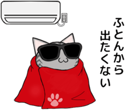 Sunglasses cat Ashver kitten Winter life sticker #14354726