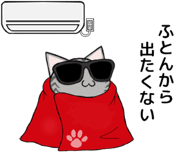Sunglasses cat Ashver kitten Winter life sticker #14354726