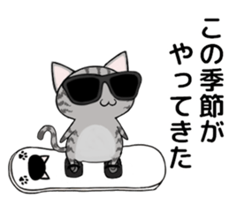 Sunglasses cat Ashver kitten Winter life sticker #14354729