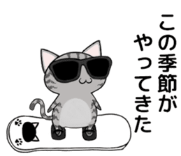Sunglasses cat Ashver kitten Winter life sticker #14354729