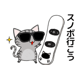 Sunglasses cat Ashver kitten Winter life sticker #14354730