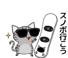 Sunglasses cat Ashver kitten Winter life sticker #14354730