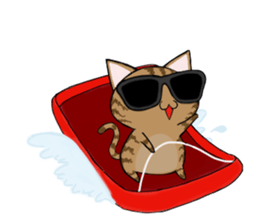 Sunglasses cat Ashver kitten Winter life sticker #14354732