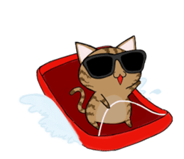 Sunglasses cat Ashver kitten Winter life sticker #14354732