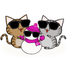 Sunglasses cat Ashver kitten Winter life sticker #14354733