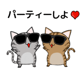 Sunglasses cat Ashver kitten Winter life sticker #14354734