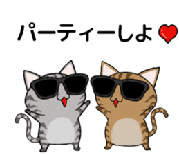 Sunglasses cat Ashver kitten Winter life sticker #14354734