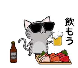 Sunglasses cat Ashver kitten Winter life sticker #14354736