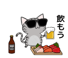 Sunglasses cat Ashver kitten Winter life sticker #14354736