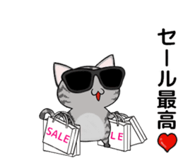Sunglasses cat Ashver kitten Winter life sticker #14354737