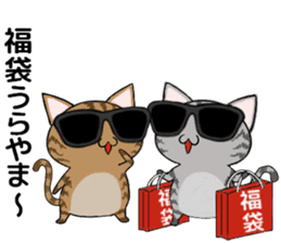 Sunglasses cat Ashver kitten Winter life sticker #14354739