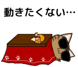 Sunglasses cat Ashver kitten Winter life sticker #14354740