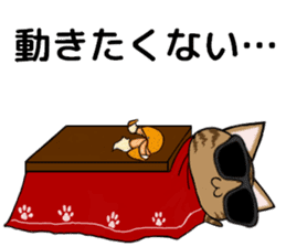 Sunglasses cat Ashver kitten Winter life sticker #14354740