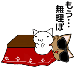 Sunglasses cat Ashver kitten Winter life sticker #14354741