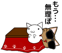 Sunglasses cat Ashver kitten Winter life sticker #14354741