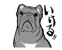 FrenchBulldog's TOYkun vol.9(animation) sticker #14359429