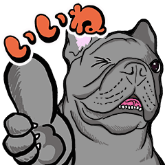 FrenchBulldog's TOYkun vol.9(animation)