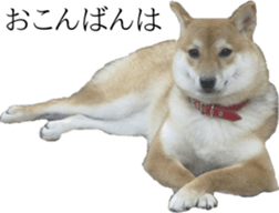 Funny doggies' stickers sticker #14360569