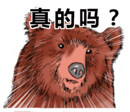 lovely bear! sticker #14360827