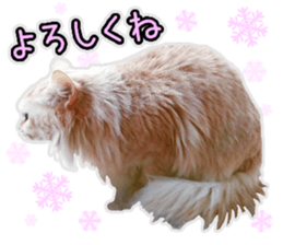 tsukineko Winter sticker #14361583