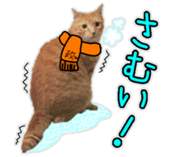 tsukineko Winter sticker #14361585