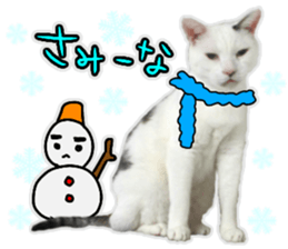 tsukineko Winter sticker #14361588