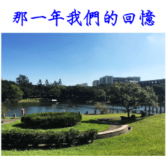 That year our memories