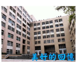 That year our memories sticker #14361856