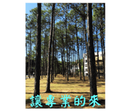 That year our memories sticker #14361859