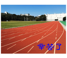 That year our memories sticker #14361864