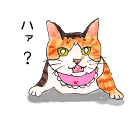 The cats of Tsukineko cafe. sticker #14362390