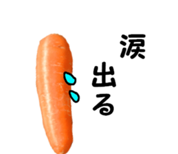 carrot winter sticker #14363011