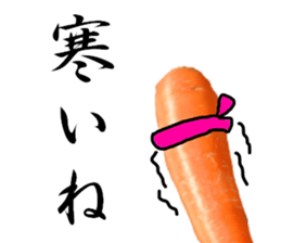 carrot winter sticker #14363012