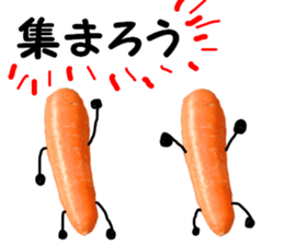 carrot winter sticker #14363016