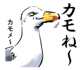 My animal stickers sticker #14363294