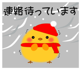 PIYOKON(winter) sticker #14363790