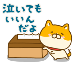 Shiba inu Yuru friendly sticker #14364287