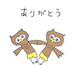 Shorts Owl sticker #14368553