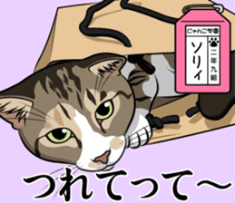 Nyanko school(PART7) sticker #14368589