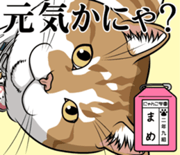 Nyanko school(PART7) sticker #14368590