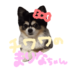 いぬ Lineクリエイターズスタンプまとめ Stamplist Part 95 いぬ Lineクリエイターズスタンプまとめ Stamplist Part 95