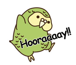 Happy Kakapo 6 Eng. sticker #14369819
