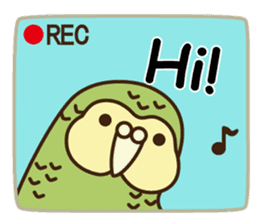 Happy Kakapo 6 Eng. sticker #14369849